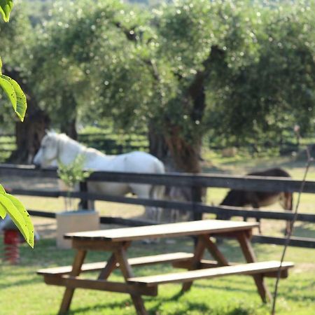 Honigtal Farmland Villa อายีโอส เยออร์ยิโอส ปากอน ภายนอก รูปภาพ