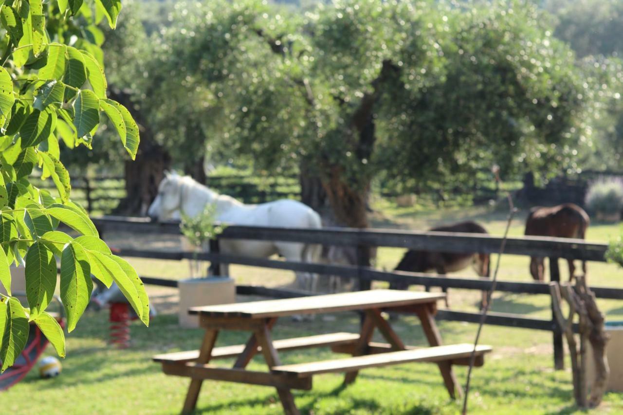 Honigtal Farmland Villa อายีโอส เยออร์ยิโอส ปากอน ภายนอก รูปภาพ