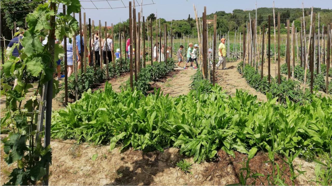 Honigtal Farmland Villa อายีโอส เยออร์ยิโอส ปากอน ภายนอก รูปภาพ